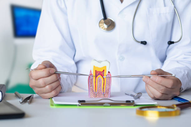 Best Emergency Treatment for Dental Infections or Abscesses in Shelton, NE